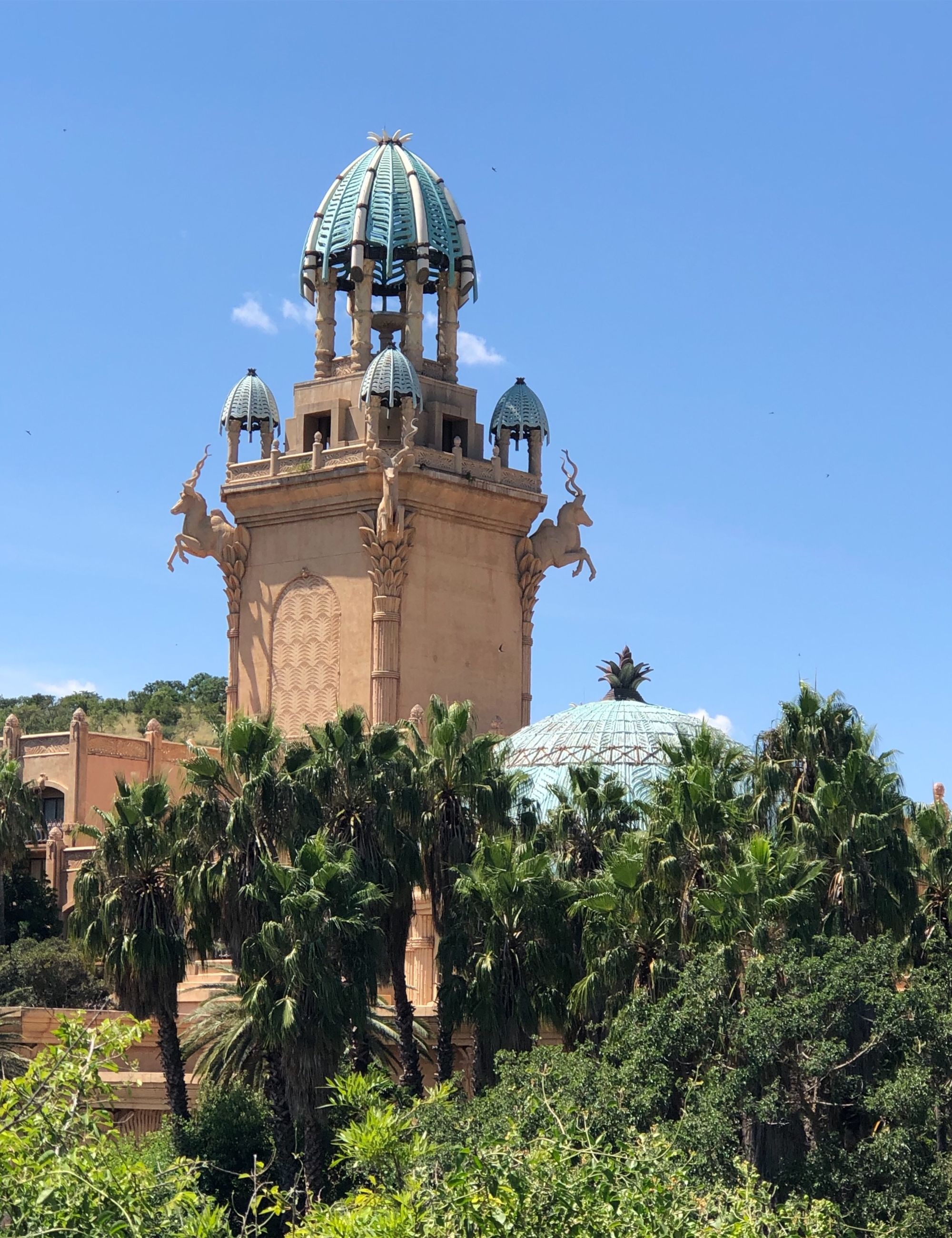 南非科学院